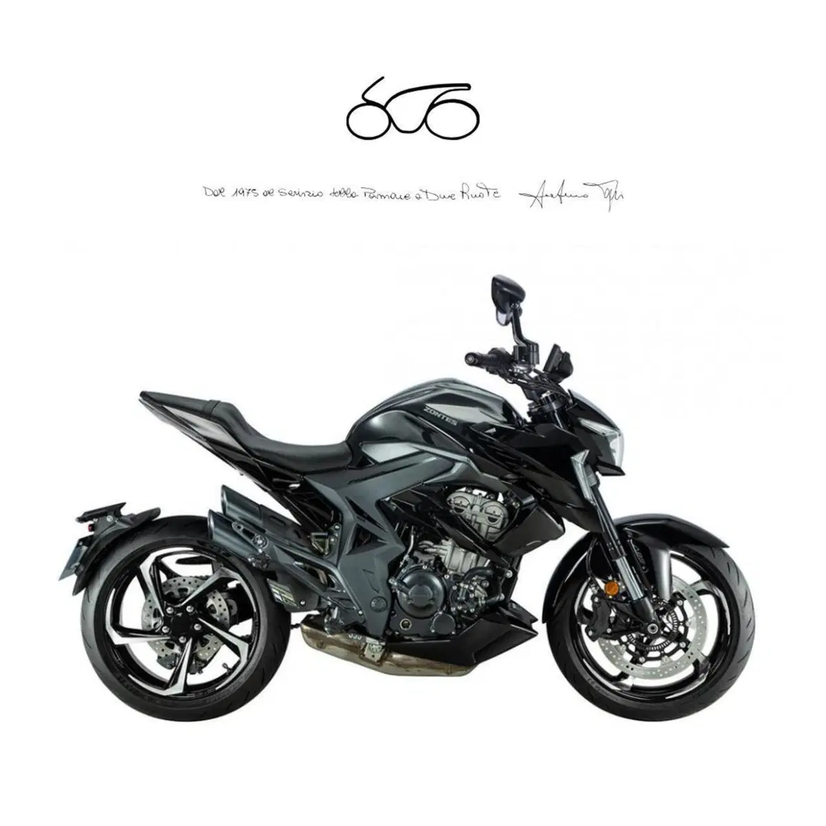 Zontes ZT350-R1 (2022 - 25)
