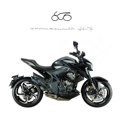 Zontes ZT350-R1 (2022 - 25) nuova