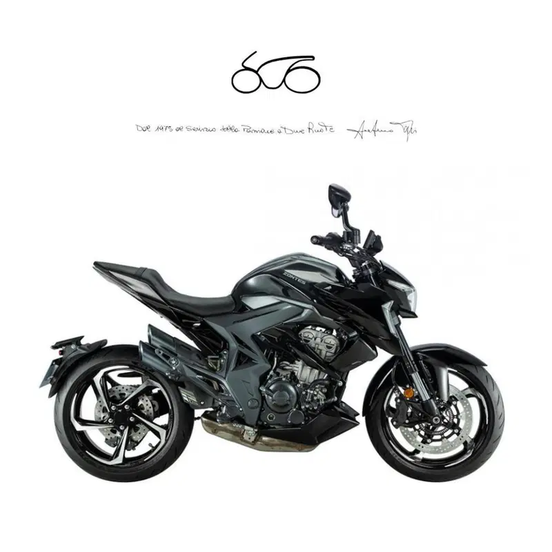 Zontes ZT350-R1 (2022 - 25)