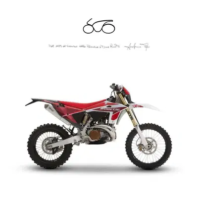 Fantic Motor XE 300 (2025) nuova