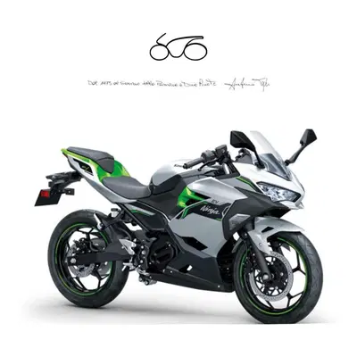 Kawasaki Ninja e-1 (2024 - 26) nuova