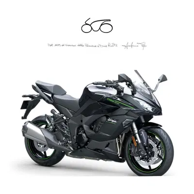 Kawasaki Ninja 1100 SX (2025 - 26) nuova