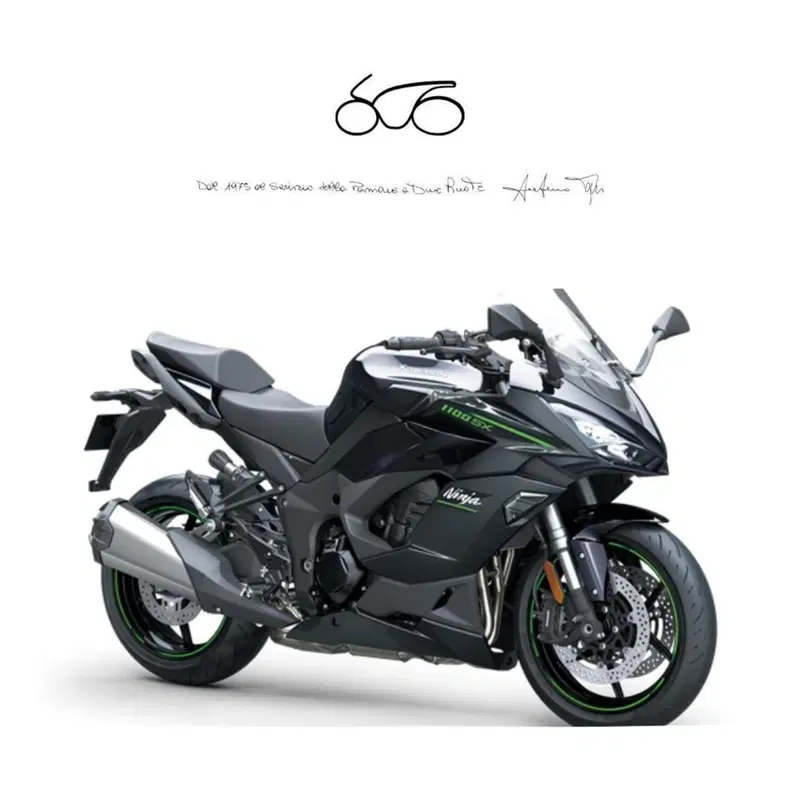 Kawasaki Ninja 1100 SX (2025 - 26)