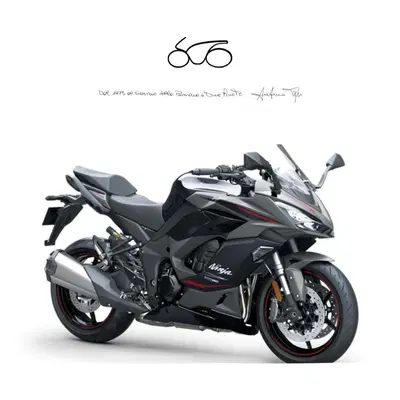 Kawasaki Ninja 1100 SX SE (2025 - 26) nuova