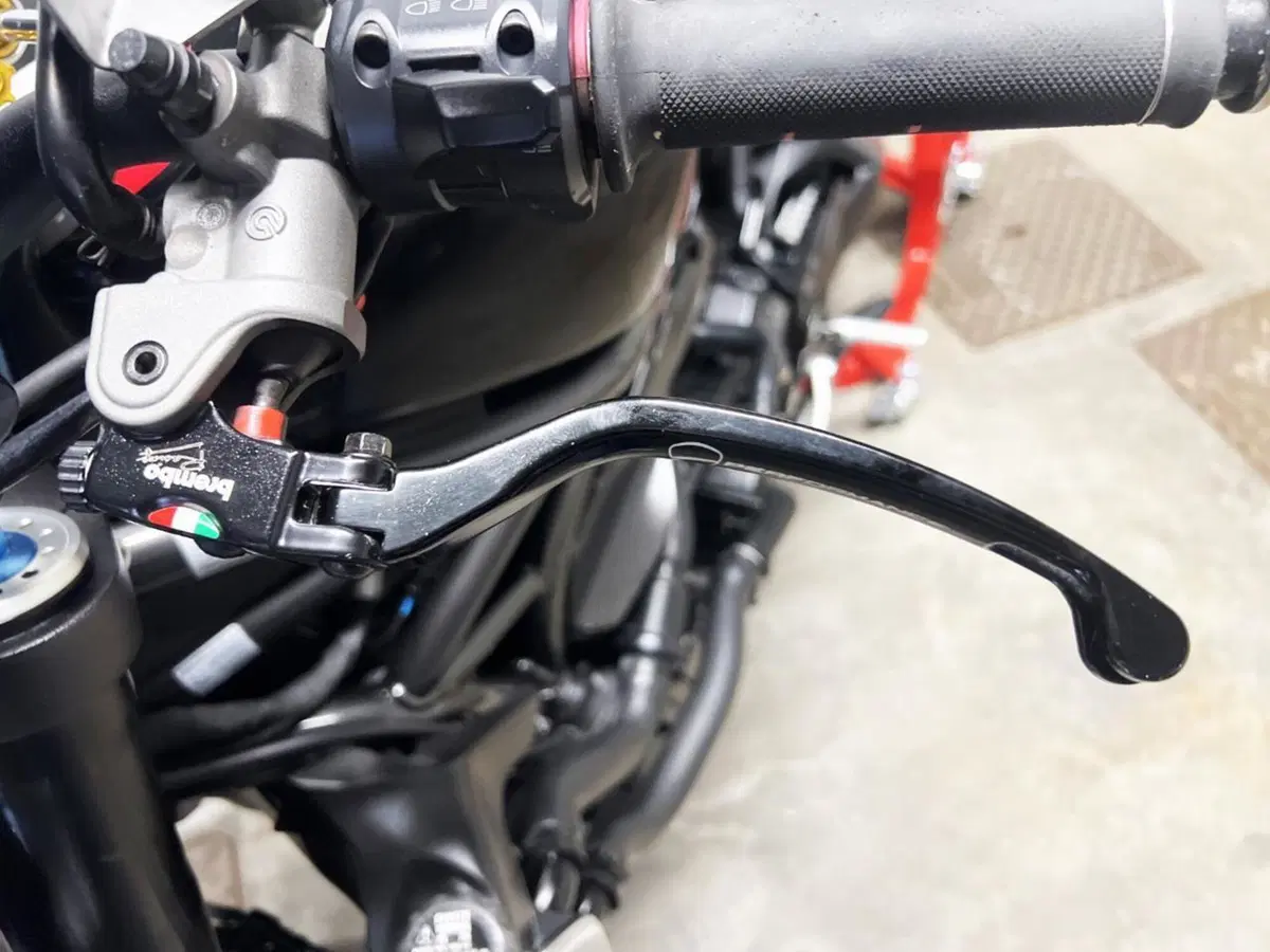 Ducati Monster 1200 R (2016 - 19) (7)