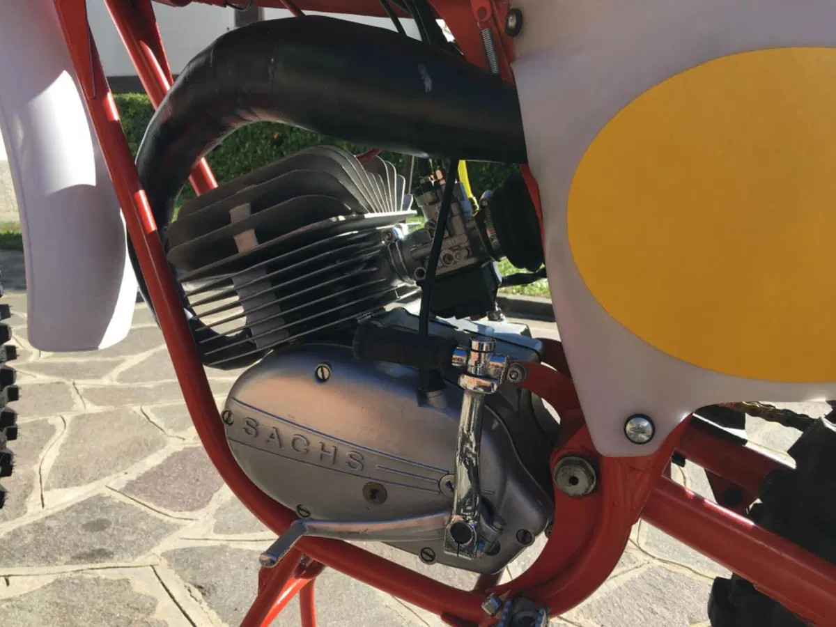 Gori Regolarità RGC  (7)
