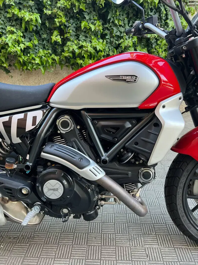 Ducati Scrambler 800 Icon (2023 - 24) (6)