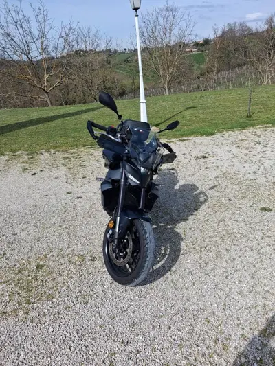 Yamaha MT-09 Y-AMT (2024 - 26) usata