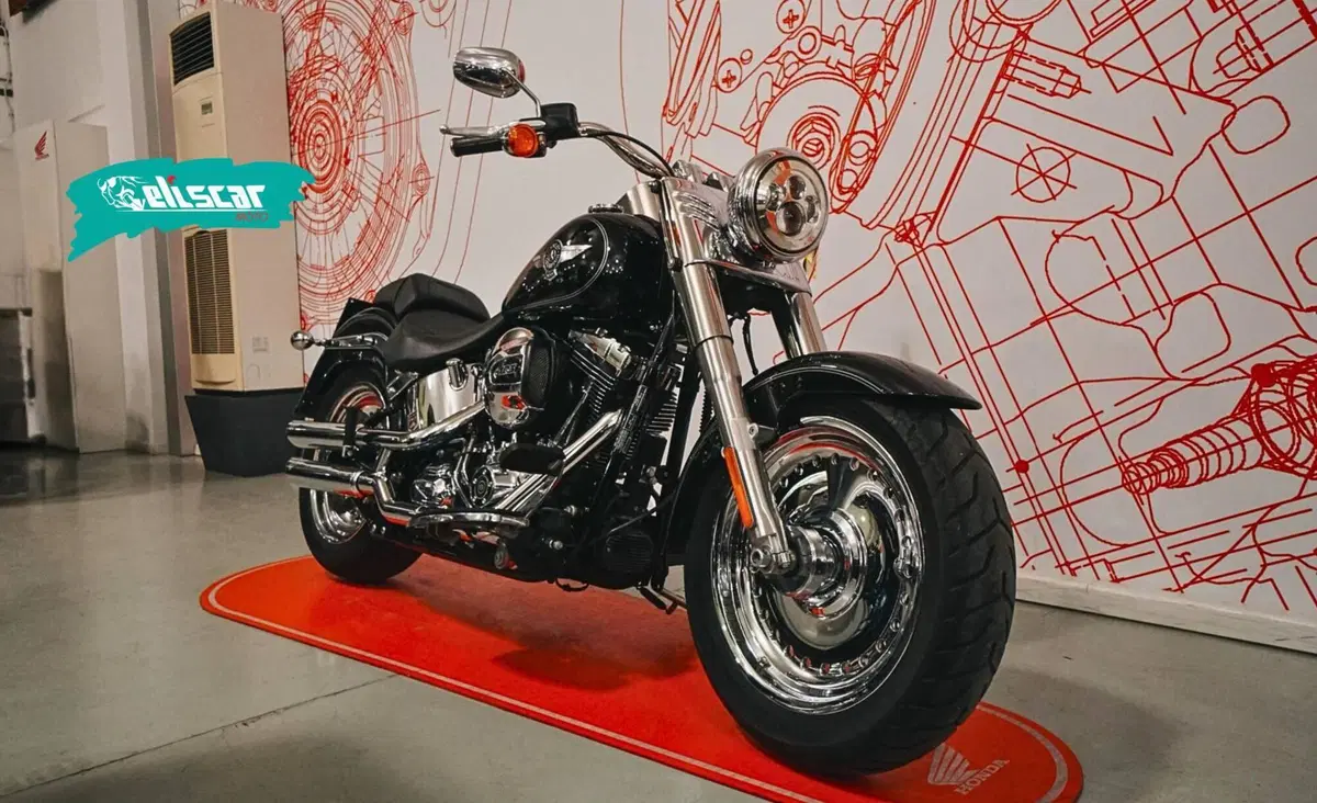 Harley-Davidson 1690 Fat Boy Special (2010 - 17) - FLSTF (2)