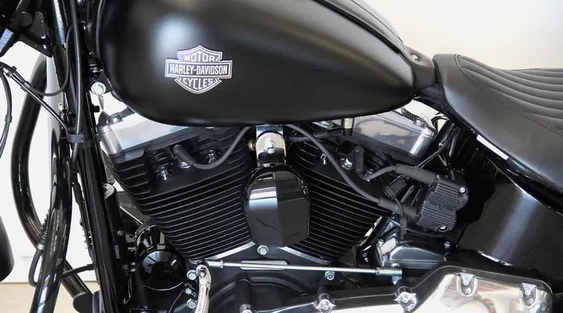 Harley-Davidson 1690 Slim (2011 - 16) - FLS (13)