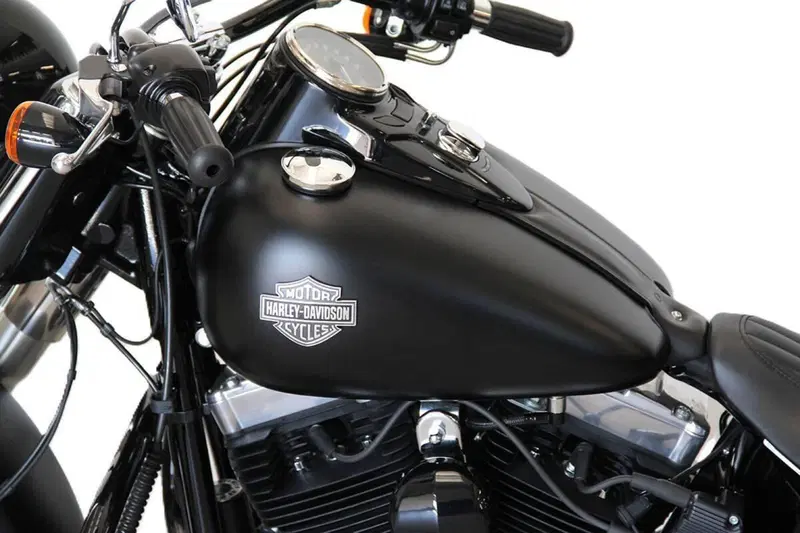 Harley-Davidson 1690 Slim (2011 - 16) - FLS (14)
