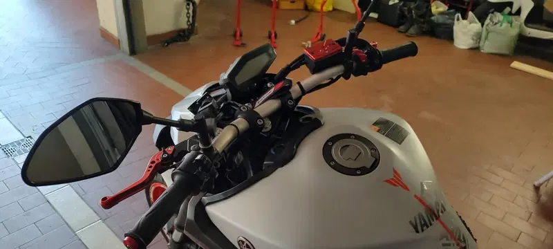 Yamaha MT-09 (2017 - 20) (10)