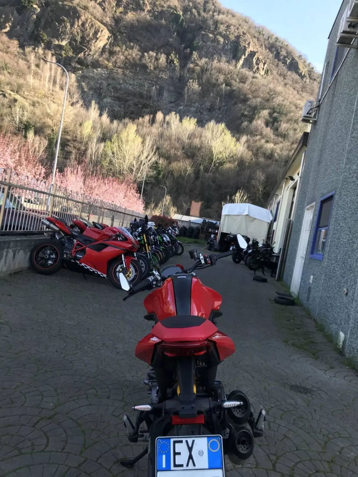 Ducati Monster 937 (2021 - 25) (4)