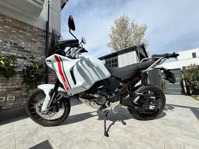 Ducati DesertX (2022 - 25) usata