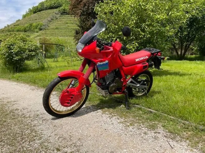 Honda NX 650 Dominator (1988 - 90) (10)