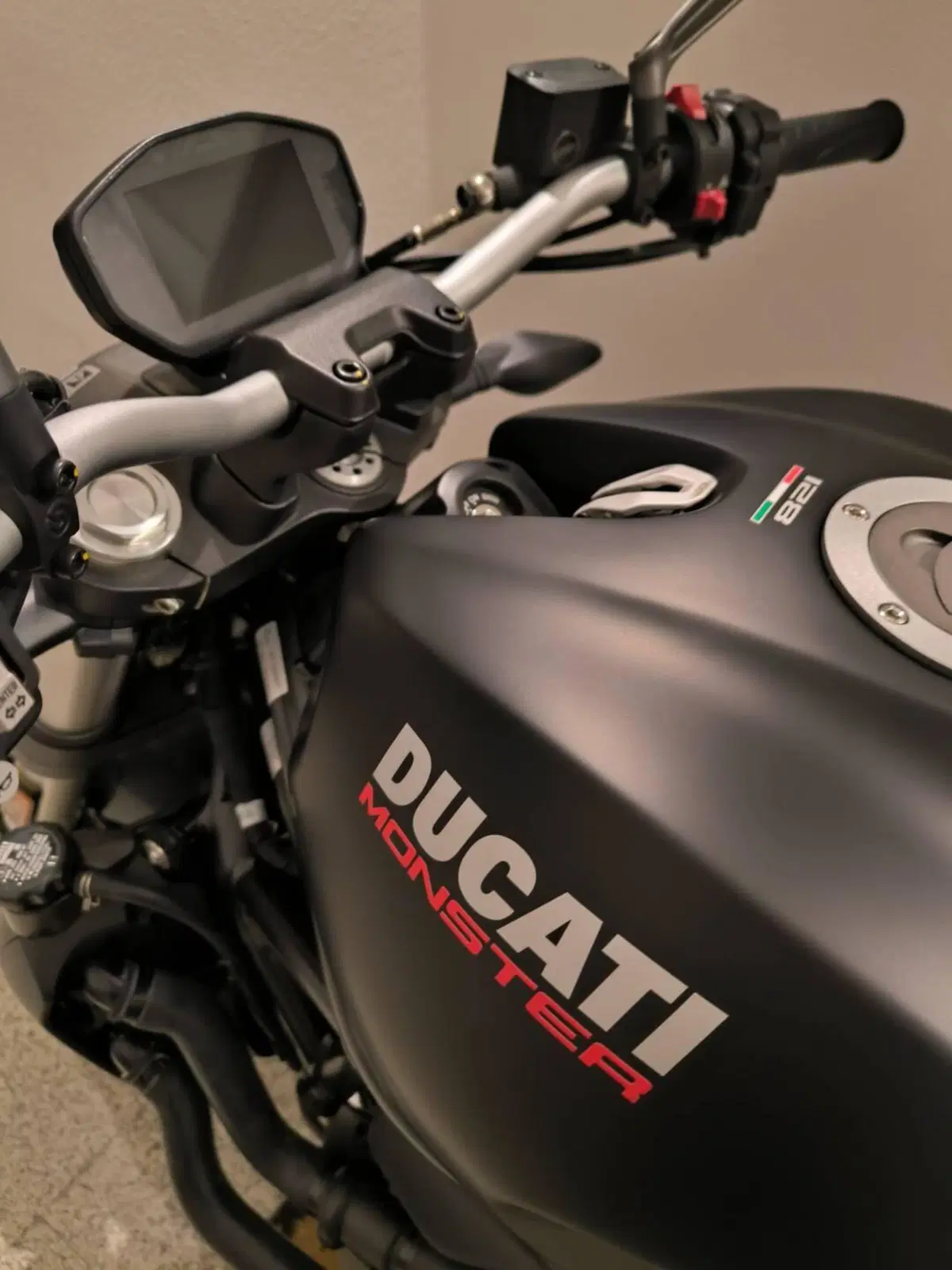 Ducati Monster 821 (2018 - 20) (3)