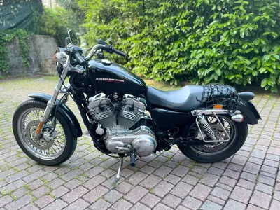 Harley-Davidson 883 Low (2005) - XL 883L usata