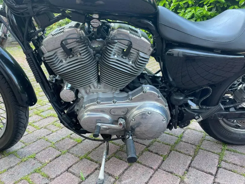 Harley-Davidson 883 Low (2005) - XL 883L (6)