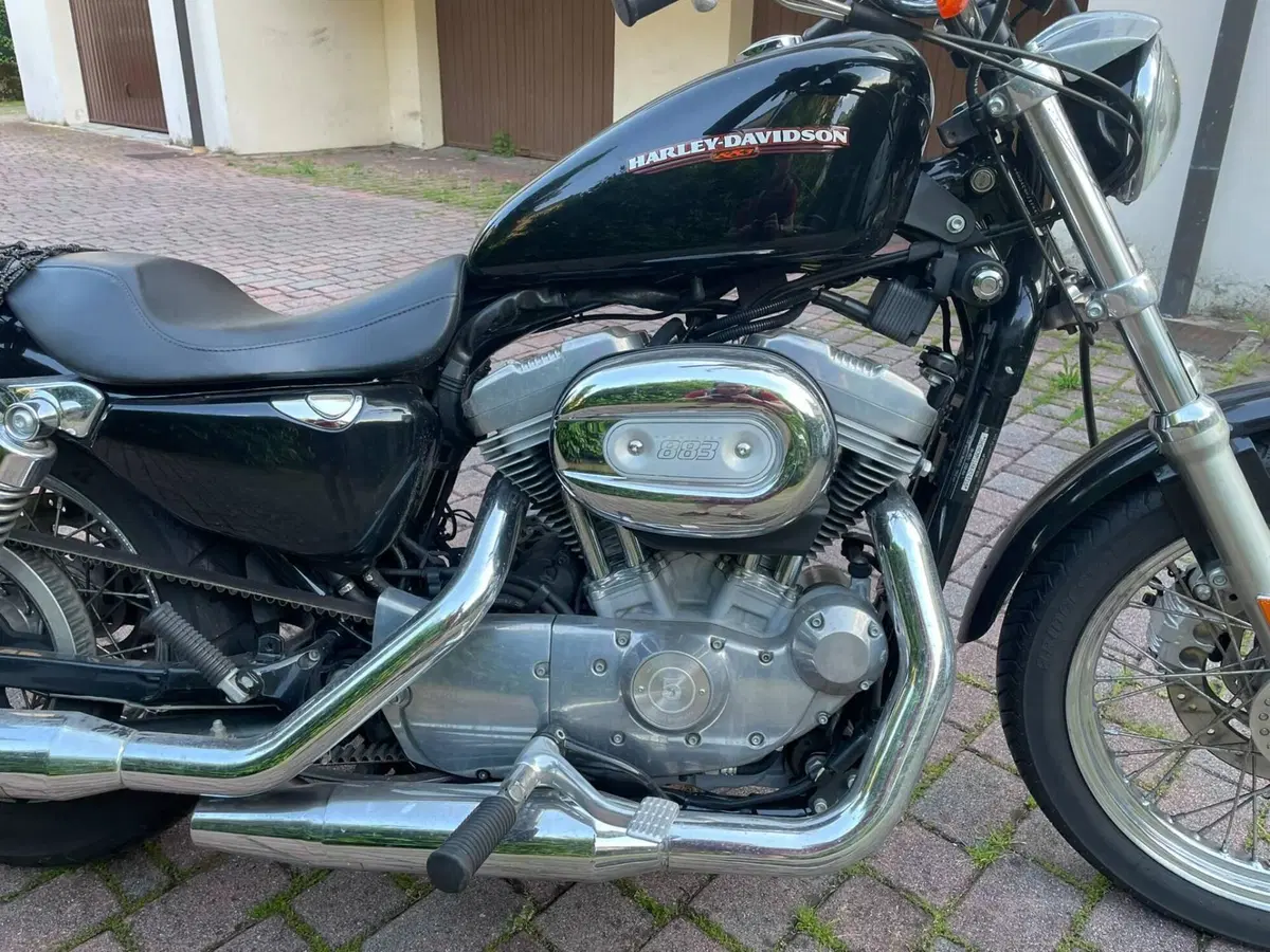 Harley-Davidson 883 Low (2005) - XL 883L (7)