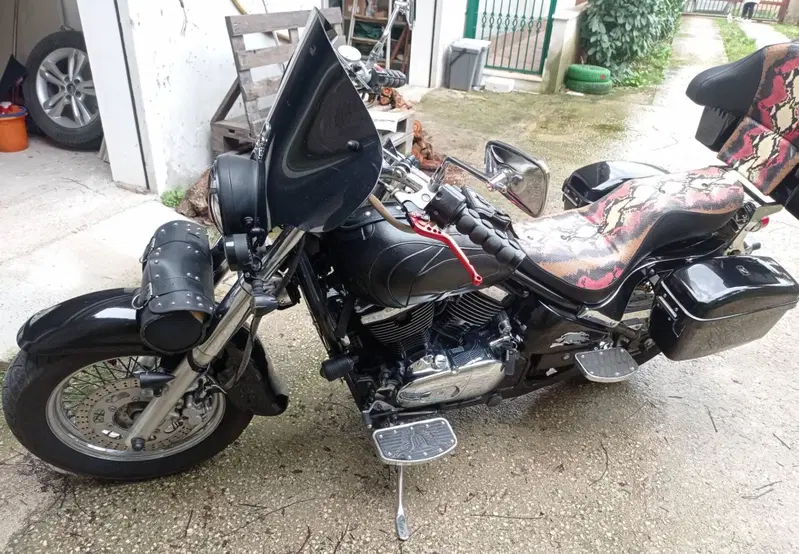 Kawasaki VN 800 Classic  (2)