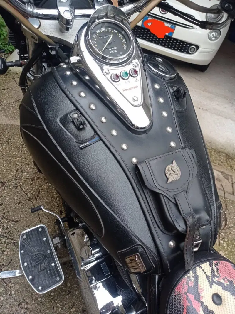 Kawasaki VN 800 Classic  (4)