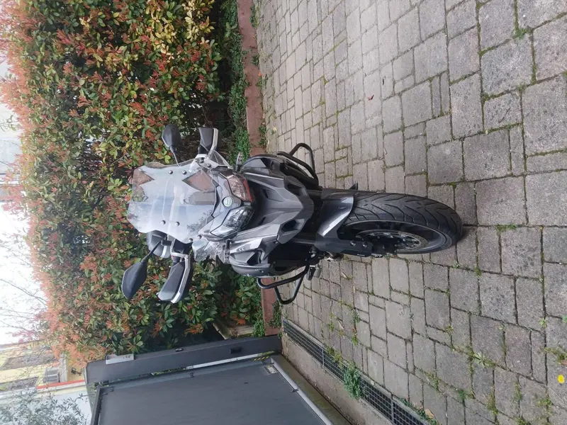Benelli 502 C (2021 - 25) (2)