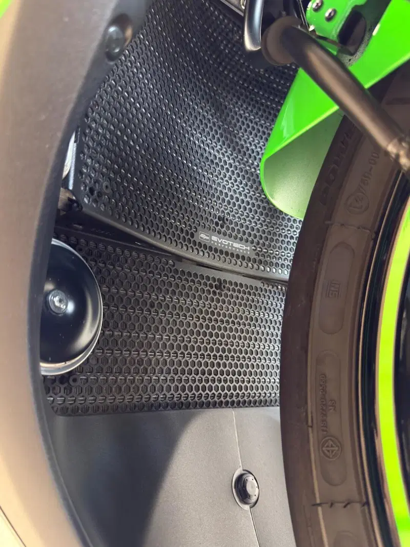 Kawasaki Ninja 1000 ZX-10R (2021 - 25) (7)