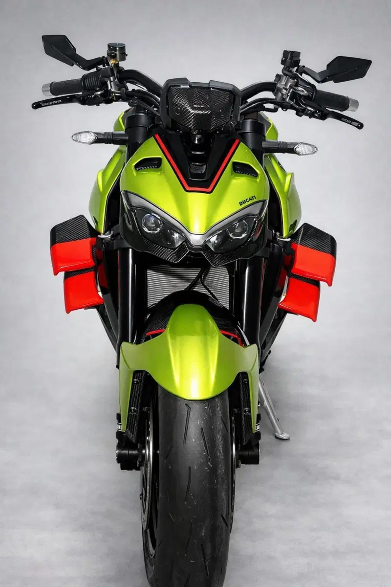 Ducati Streetfighter V4 Lamborghini (2023 - 24) (3)
