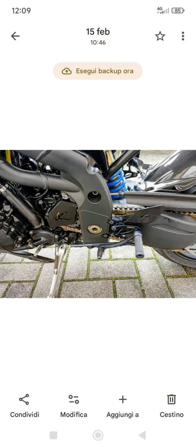 Triumph Speed Triple 1050 (2005 - 11) (4)