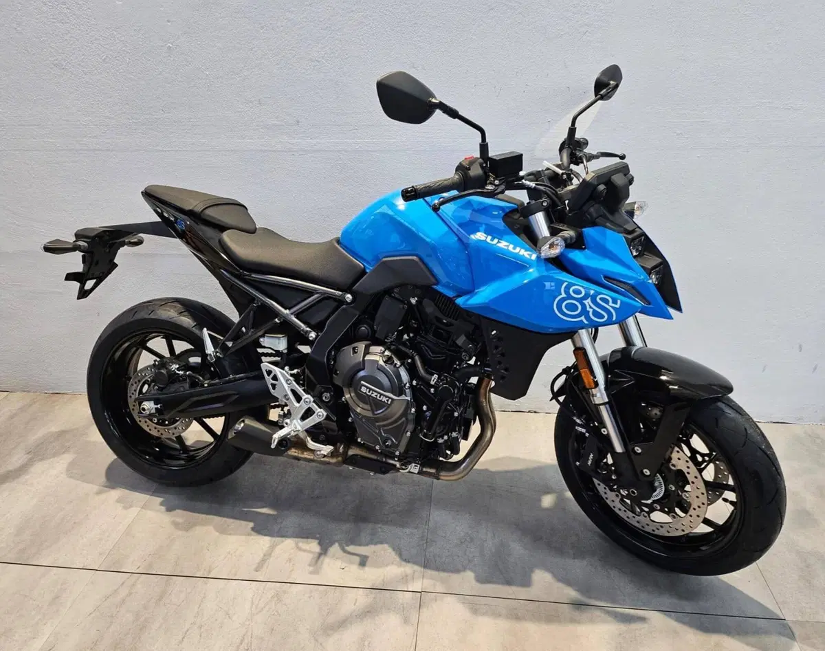 Suzuki GSX-8S (2025 - 26)