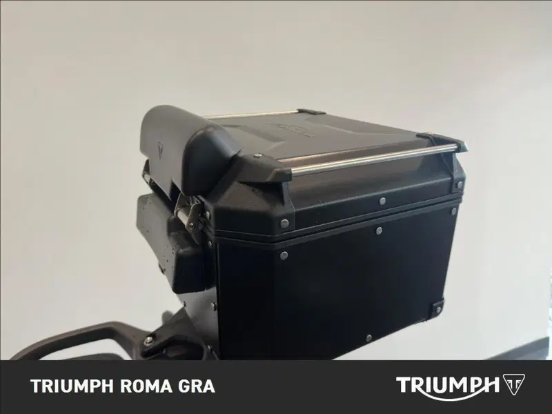 Triumph Tiger 1200 Rally Pro (2022 - 23) (14)