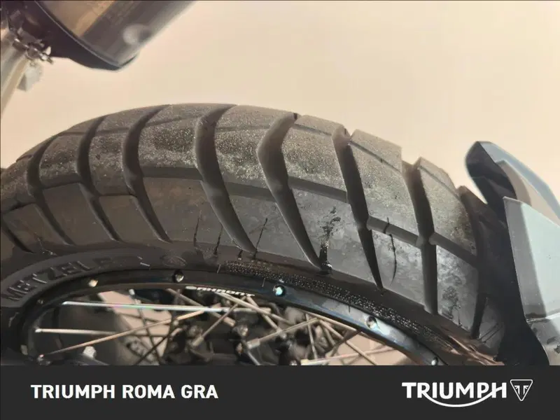 Triumph Tiger 1200 Rally Pro (2022 - 23) (8)
