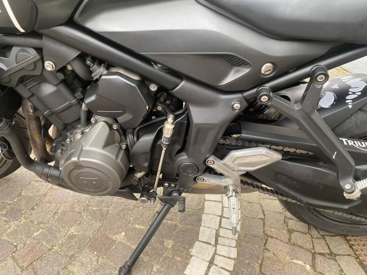 Triumph Trident 660 (2021 - 24) (10)