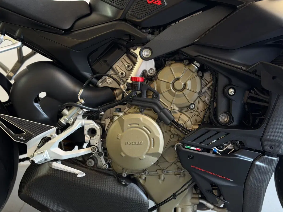 Ducati Streetfighter V4 1100 S (2021 - 22) (11)