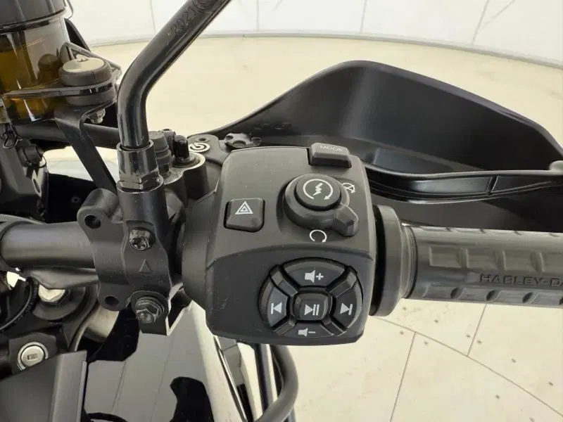 Harley-Davidson Pan America 1250 (2020 - 25) (7)