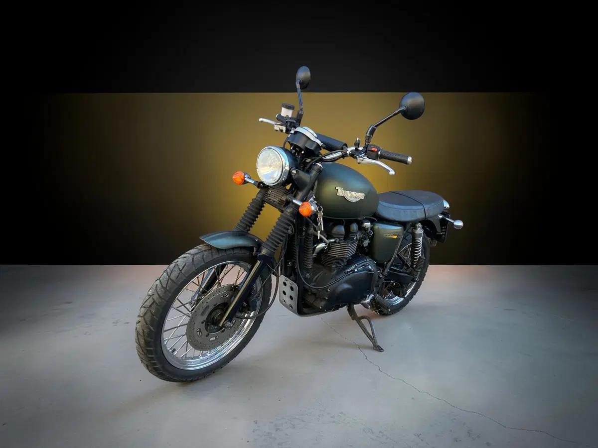 Triumph Scrambler (2006 - 17) (5)