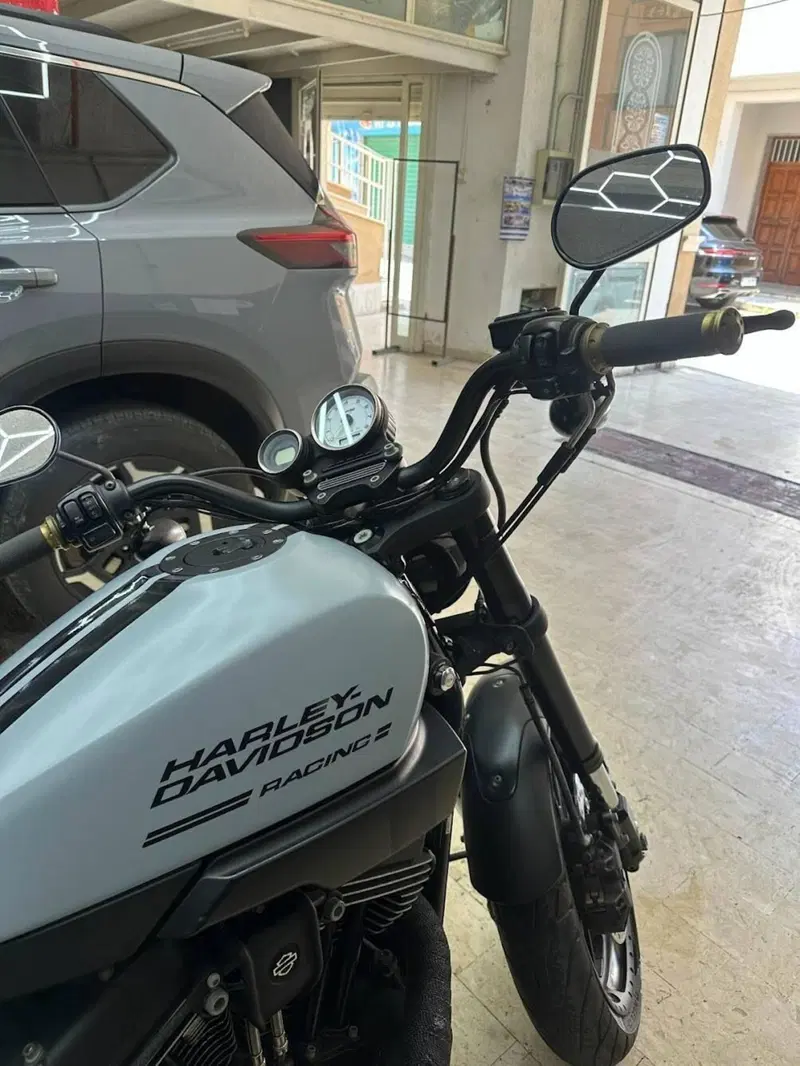 Harley-Davidson 1200 XR X (2010 - 12) (7)