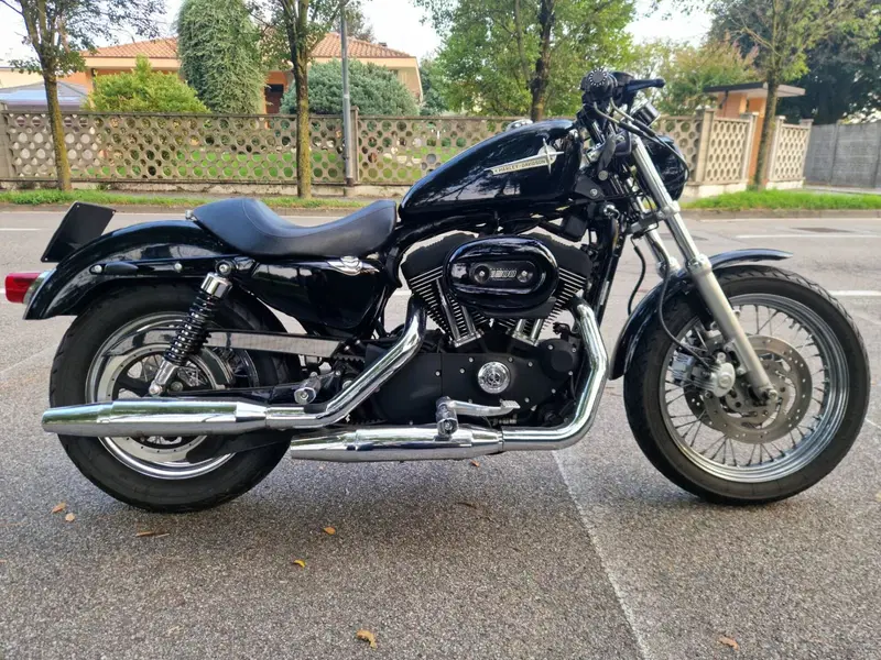 Harley-Davidson 1200 Roadster (2006 - 08) - XL 1200R (4)