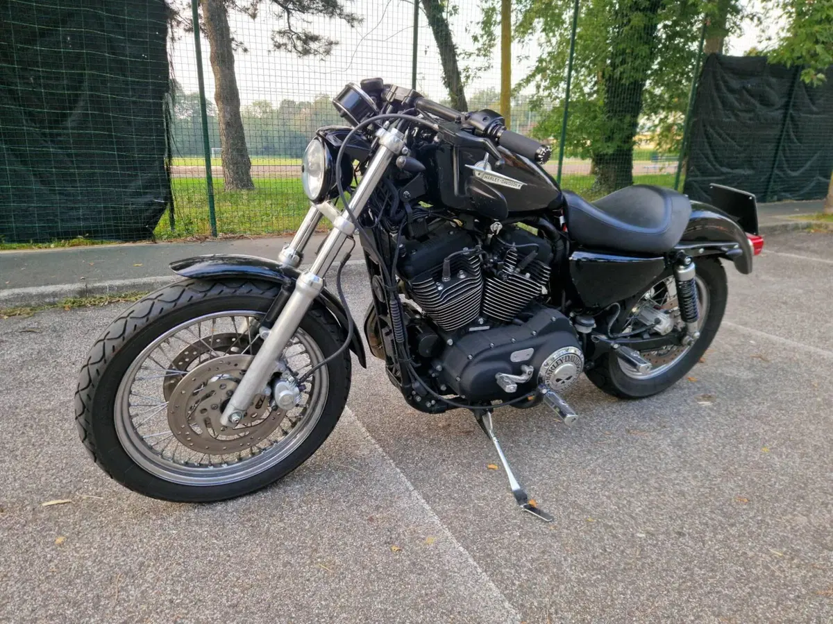 Harley-Davidson 1200 Roadster (2006 - 08) - XL 1200R (5)