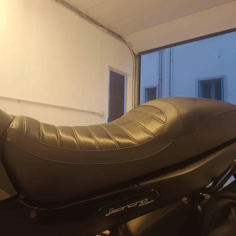 Benelli Leoncino 500 (2021 - 25) (6)
