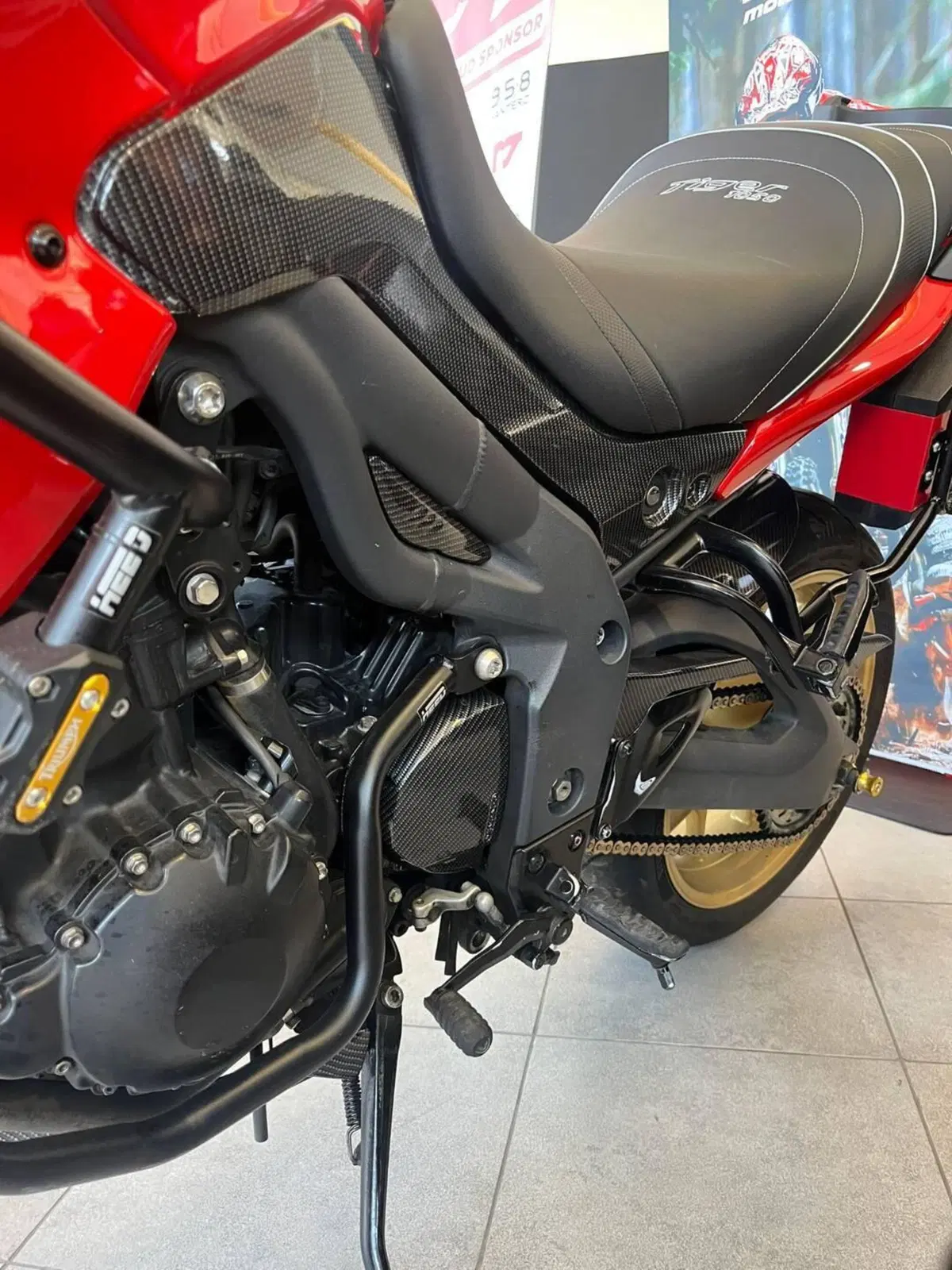 Triumph Tiger 1050 (2006 - 12) (3)