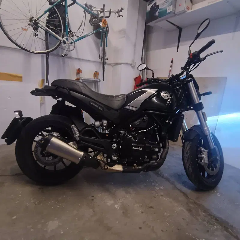 Benelli Leoncino 500 (2021 - 25) (4)