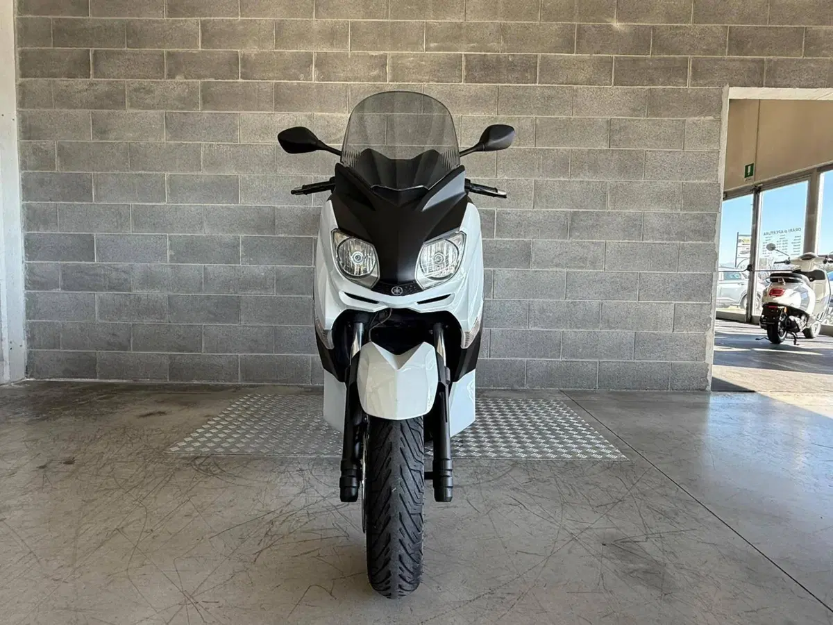 Yamaha X-Max 250 (2010 - 13) (4)