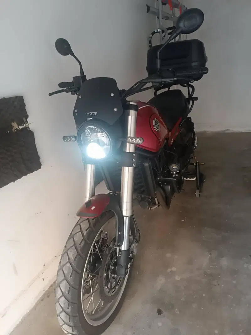 Benelli Leoncino 500 Trail (2021 - 26) (4)