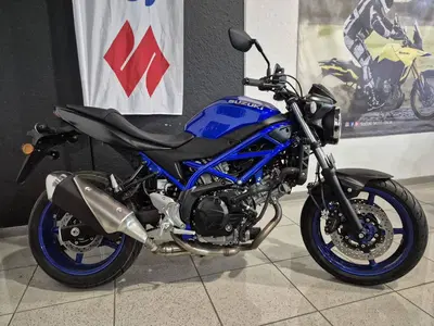 Suzuki SV650 (2025 - 26) nuova