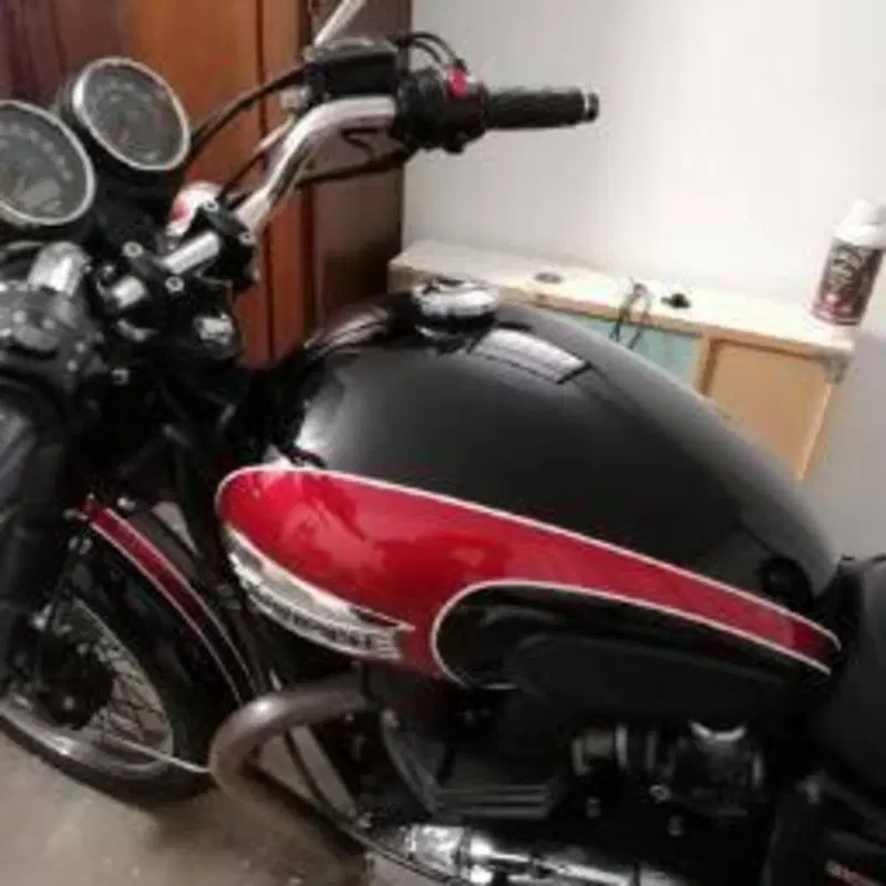 Triumph Bonneville T100 (2008 - 16) (4)