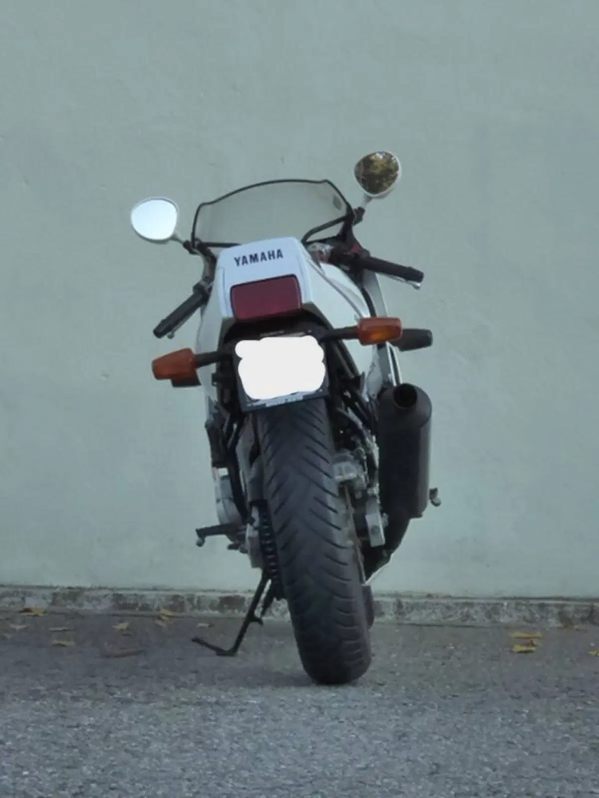Yamaha FZR 600 (3)
