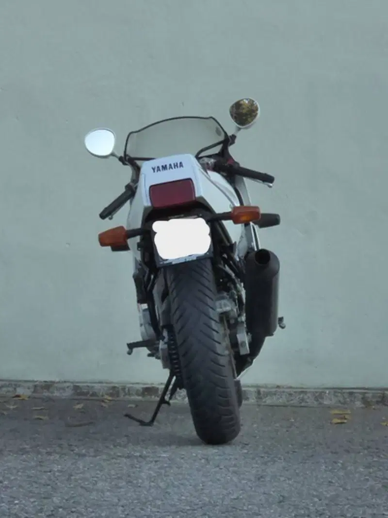 Yamaha FZR 600 (3)