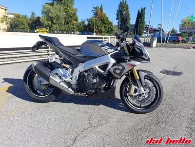 Aprilia Tuono V4 RR (2015 - 17) usata