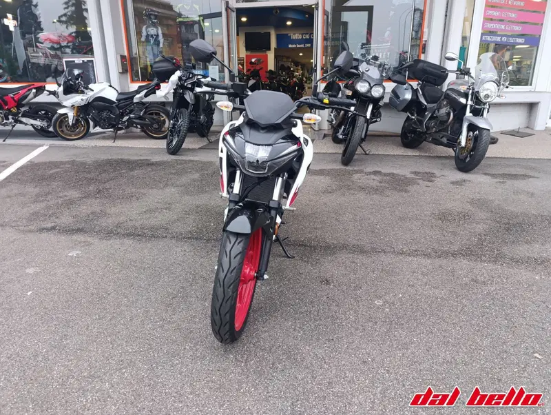 Suzuki GSX-S125 (2022 - 24) (2)